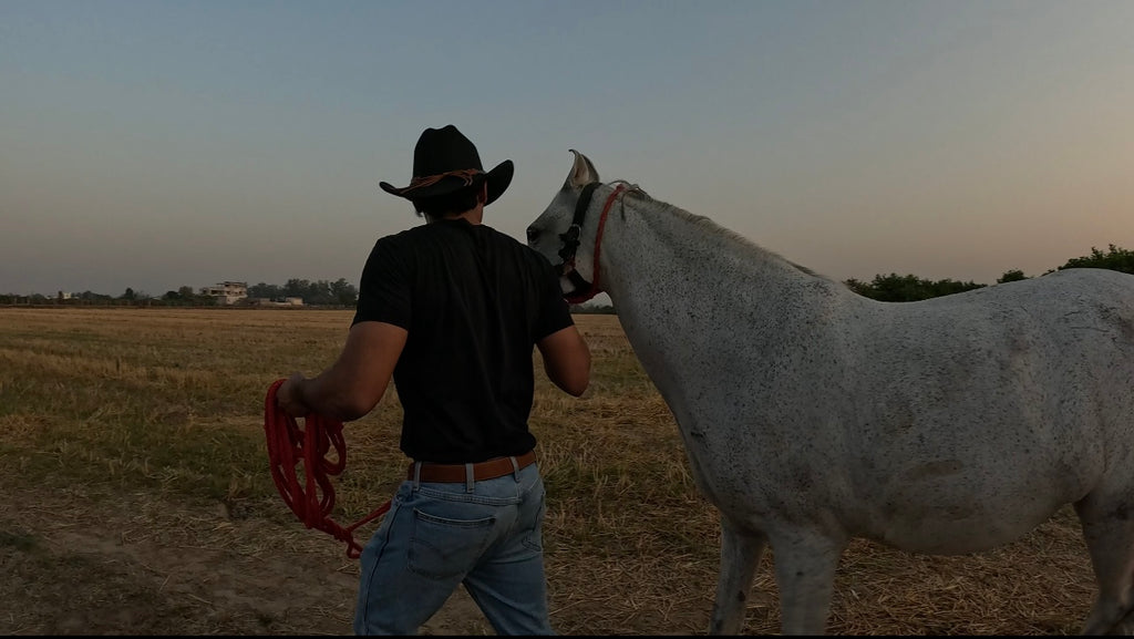 Western Classic Cowboy Hat