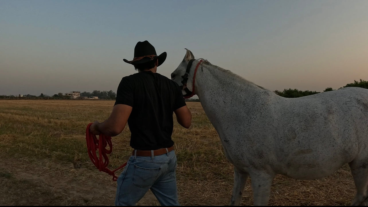 Western Classic Cowboy Hat