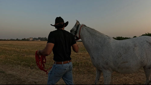 Western Classic Cowboy Hat